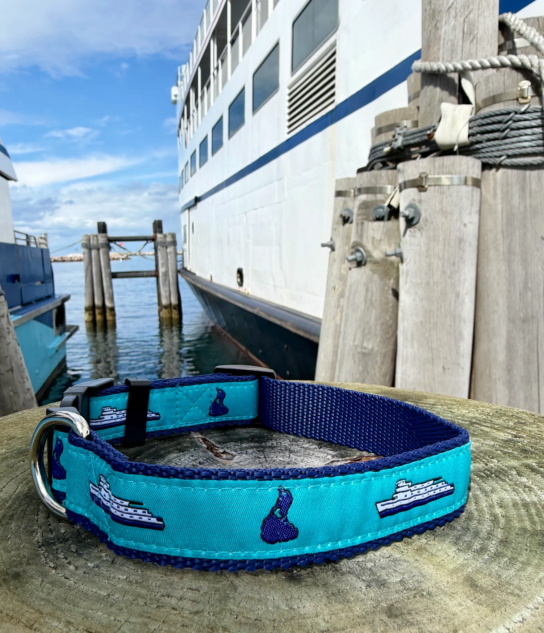 Bif dog collar